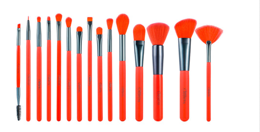 15 PC brush set